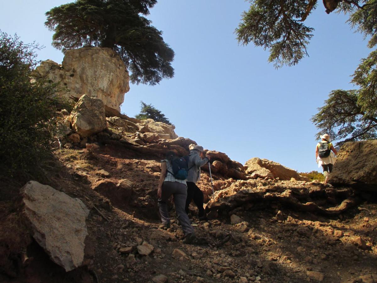 Gite Skoura Caid Bou Malla Exterior foto